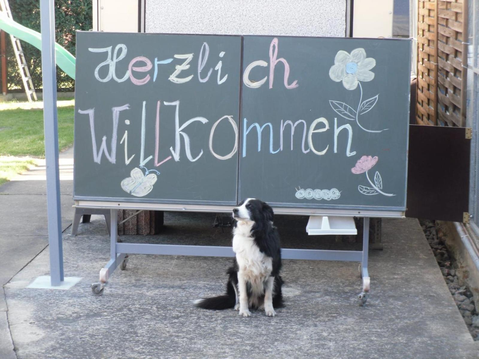Ferienwohnung Familie Rudolf Coswig Kültér fotó